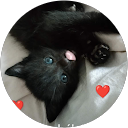 Accueil Ludivin Lacroix profile picture